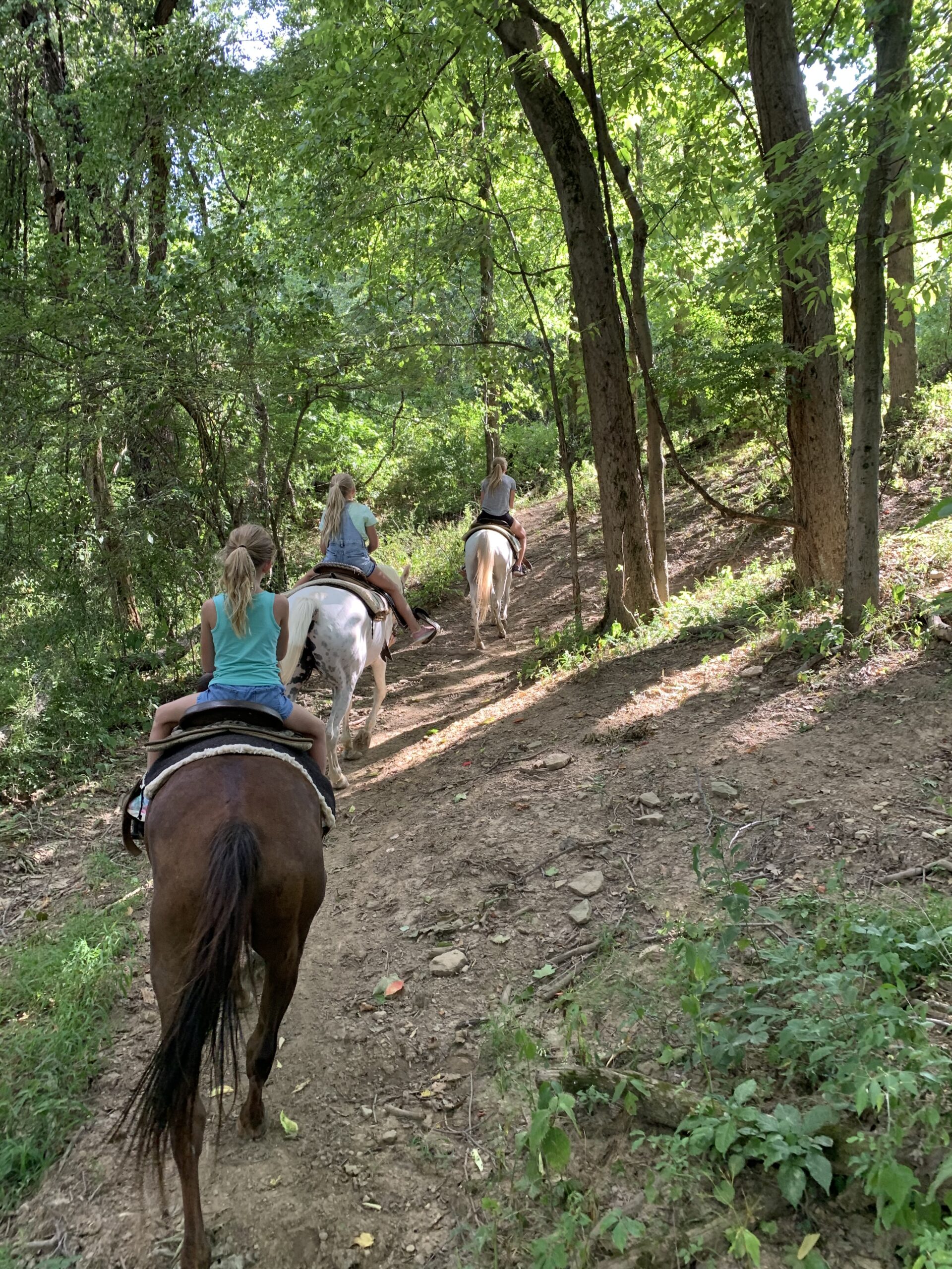 Trail Riding