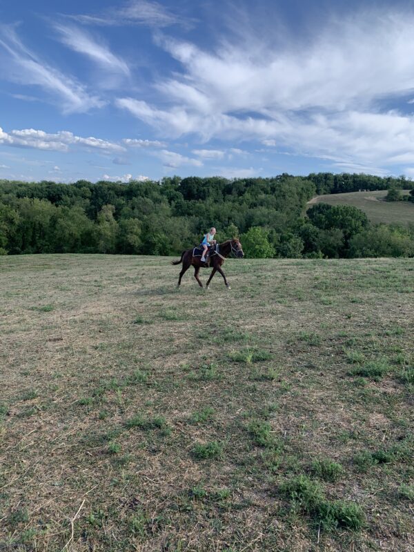 Horseback Riding – Rolling Hills Ranch